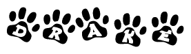 The image shows a series of animal paw prints arranged horizontally. Within each paw print, there's a letter; together they spell Drake