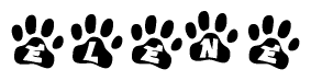 The image shows a series of animal paw prints arranged in a horizontal line. Each paw print contains a letter, and together they spell out the word Elene.