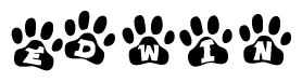 The image shows a series of animal paw prints arranged in a horizontal line. Each paw print contains a letter, and together they spell out the word Edwin.