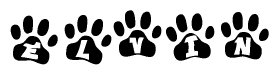 The image shows a row of animal paw prints, each containing a letter. The letters spell out the word Elvin within the paw prints.
