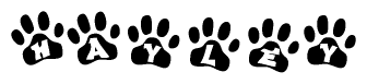 The image shows a row of animal paw prints, each containing a letter. The letters spell out the word Hayley within the paw prints.