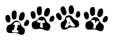 The image shows a series of animal paw prints arranged horizontally. Within each paw print, there's a letter; together they spell Itay