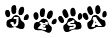 The image shows a row of animal paw prints, each containing a letter. The letters spell out the word Jesa within the paw prints.