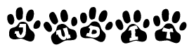 The image shows a row of animal paw prints, each containing a letter. The letters spell out the word Judit within the paw prints.