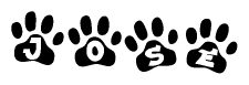 The image shows a row of animal paw prints, each containing a letter. The letters spell out the word Jose within the paw prints.