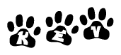 The image shows a row of animal paw prints, each containing a letter. The letters spell out the word Kev within the paw prints.
