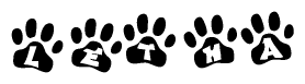 Animal Paw Prints with Letha Lettering