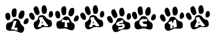 The image shows a row of animal paw prints, each containing a letter. The letters spell out the word Latascha within the paw prints.