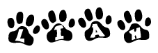 The image shows a series of animal paw prints arranged in a horizontal line. Each paw print contains a letter, and together they spell out the word Liah.