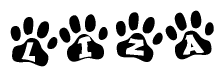 The image shows a series of animal paw prints arranged in a horizontal line. Each paw print contains a letter, and together they spell out the word Liza.