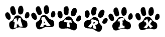 The image shows a series of animal paw prints arranged in a horizontal line. Each paw print contains a letter, and together they spell out the word Matrix.
