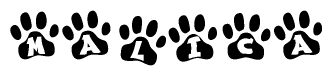 Animal Paw Prints with Malica Lettering