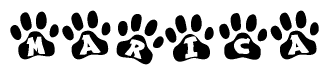 The image shows a series of animal paw prints arranged horizontally. Within each paw print, there's a letter; together they spell Marica