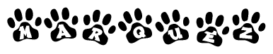 The image shows a series of animal paw prints arranged in a horizontal line. Each paw print contains a letter, and together they spell out the word Marquez.