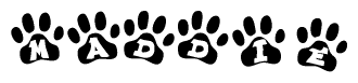 The image shows a series of animal paw prints arranged horizontally. Within each paw print, there's a letter; together they spell Maddie