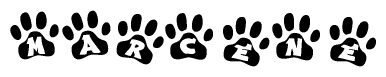 The image shows a series of animal paw prints arranged in a horizontal line. Each paw print contains a letter, and together they spell out the word Marcene.