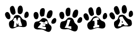 The image shows a series of animal paw prints arranged in a horizontal line. Each paw print contains a letter, and together they spell out the word Melia.
