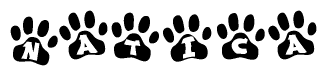 The image shows a series of animal paw prints arranged horizontally. Within each paw print, there's a letter; together they spell Natica