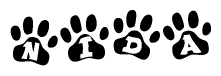 The image shows a series of animal paw prints arranged in a horizontal line. Each paw print contains a letter, and together they spell out the word Nida.