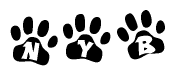 The image shows a series of animal paw prints arranged horizontally. Within each paw print, there's a letter; together they spell Nyb