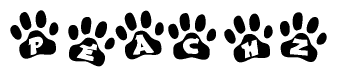 The image shows a series of animal paw prints arranged horizontally. Within each paw print, there's a letter; together they spell Peachz