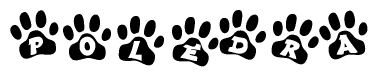 The image shows a series of animal paw prints arranged in a horizontal line. Each paw print contains a letter, and together they spell out the word Poledra.