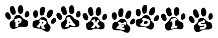 The image shows a series of animal paw prints arranged horizontally. Within each paw print, there's a letter; together they spell Praxedis