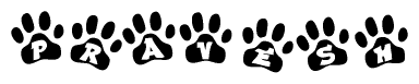 The image shows a series of animal paw prints arranged horizontally. Within each paw print, there's a letter; together they spell Pravesh