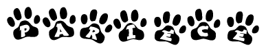 The image shows a series of animal paw prints arranged in a horizontal line. Each paw print contains a letter, and together they spell out the word Pariece.