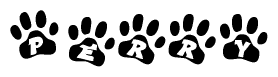The image shows a row of animal paw prints, each containing a letter. The letters spell out the word Perry within the paw prints.