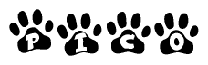 The image shows a series of animal paw prints arranged horizontally. Within each paw print, there's a letter; together they spell Pico