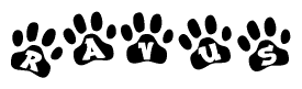 The image shows a series of animal paw prints arranged in a horizontal line. Each paw print contains a letter, and together they spell out the word Ravus.