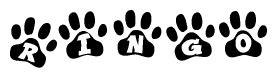The image shows a row of animal paw prints, each containing a letter. The letters spell out the word Ringo within the paw prints.