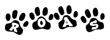 The image shows a row of animal paw prints, each containing a letter. The letters spell out the word Roas within the paw prints.