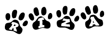 The image shows a series of animal paw prints arranged horizontally. Within each paw print, there's a letter; together they spell Riza