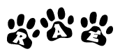 The image shows a series of animal paw prints arranged horizontally. Within each paw print, there's a letter; together they spell Rae