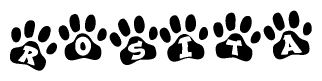 The image shows a row of animal paw prints, each containing a letter. The letters spell out the word Rosita within the paw prints.