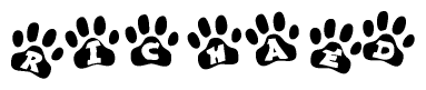 The image shows a series of animal paw prints arranged horizontally. Within each paw print, there's a letter; together they spell Richaed