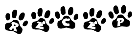 The image shows a series of animal paw prints arranged in a horizontal line. Each paw print contains a letter, and together they spell out the word Recep.