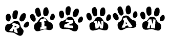 The image shows a series of animal paw prints arranged in a horizontal line. Each paw print contains a letter, and together they spell out the word Rizwan.