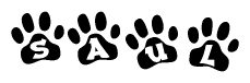 The image shows a series of animal paw prints arranged horizontally. Within each paw print, there's a letter; together they spell Saul