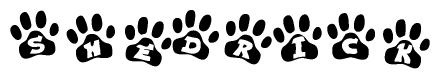 The image shows a series of animal paw prints arranged horizontally. Within each paw print, there's a letter; together they spell Shedrick