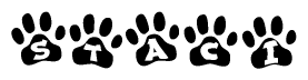 The image shows a series of animal paw prints arranged in a horizontal line. Each paw print contains a letter, and together they spell out the word Staci.