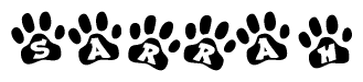 The image shows a series of animal paw prints arranged in a horizontal line. Each paw print contains a letter, and together they spell out the word Sarrah.