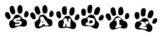 Animal Paw Prints with Sandie Lettering