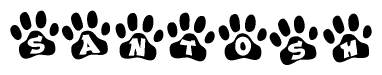 The image shows a series of animal paw prints arranged horizontally. Within each paw print, there's a letter; together they spell Santosh