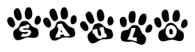The image shows a series of animal paw prints arranged horizontally. Within each paw print, there's a letter; together they spell Saulo