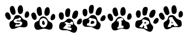 Animal Paw Prints with Soedira Lettering
