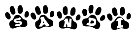 The image shows a series of animal paw prints arranged in a horizontal line. Each paw print contains a letter, and together they spell out the word Sandi.