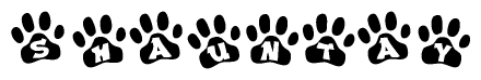 The image shows a row of animal paw prints, each containing a letter. The letters spell out the word Shauntay within the paw prints.